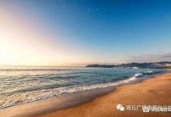 海南赶海爆料网站官网最新,最新爆料网站官网独家解读