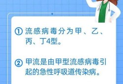 甲流最新情况爆料,全球防控形势与病例分析概览